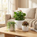 3-Piece White Stoneware Planter Pot Set with Vertical Line Texture
