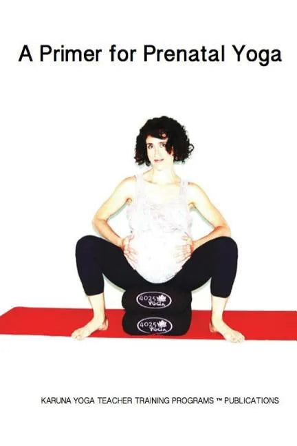 A Primer for Prenatal Yoga: Adaptations and Modifications for Teaching Yoga To Pregnant Students - Paperback