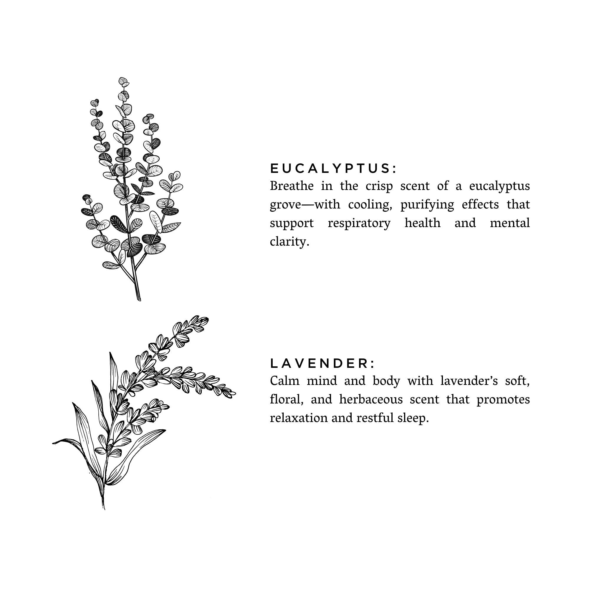 Soft Girl Eucalyptus + Lavender - Signature Candle- The Soft Nature Girl Collection
