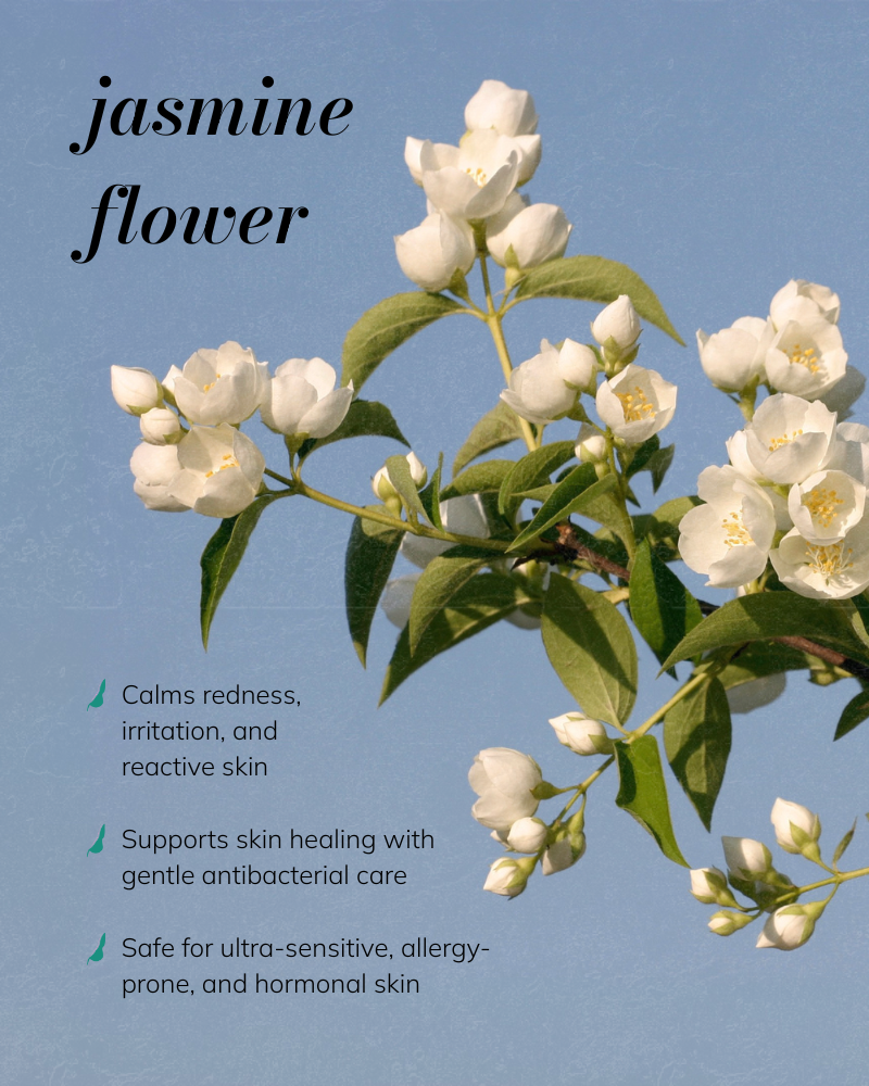 Jasmine Nectar - Essential Oil-Free, Light-Weight Face Oil