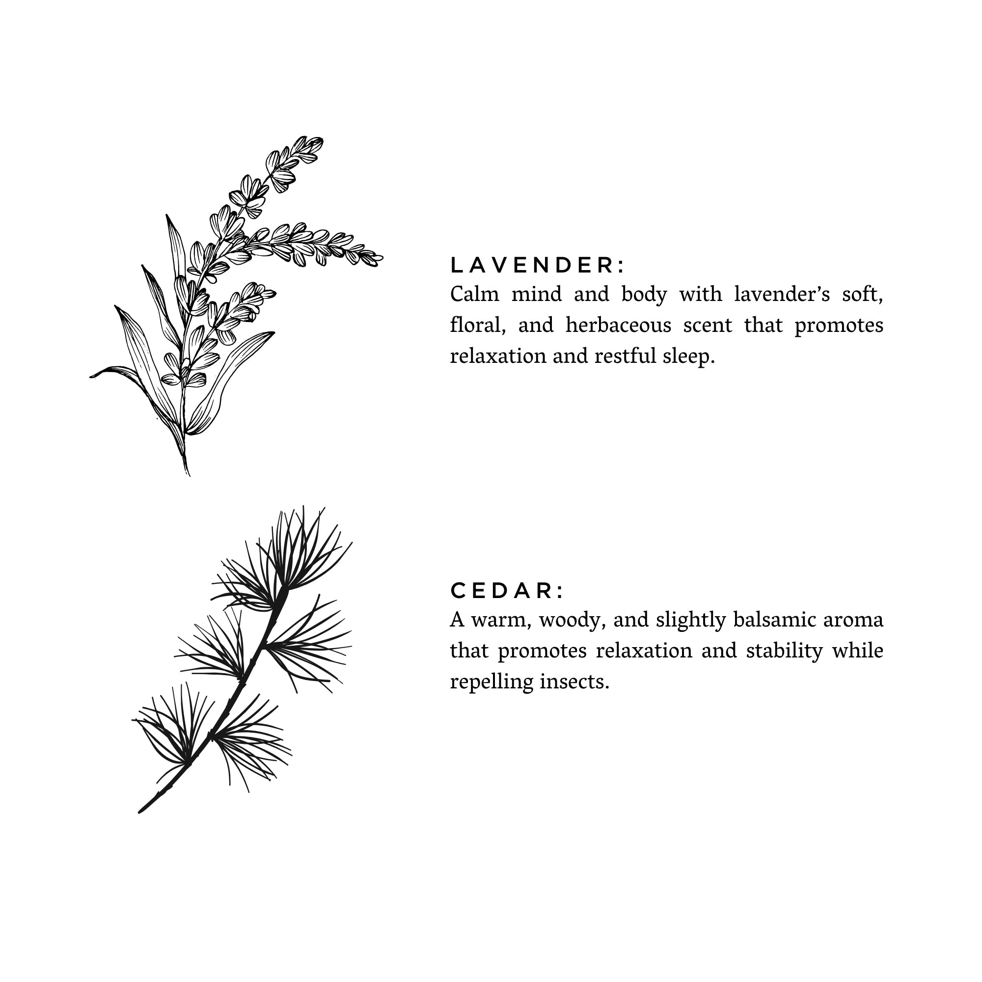 The Tranquil Chic Lavender + Cedar - Signature Candle- The Chica Chic Collection
